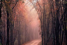 雷速体育：篮球——CBA全明星赛星锐赛：星锐一年级队胜清华大学队.