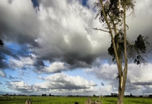 [欧冠]曼城涉险进四强 双方冲突成焦点.