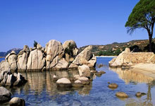 雷速体育：德差波与沙西丽分手后，越活越滋润，男双混双都有冠军进账.